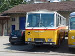 (194'556) - Oldie-Tours Z�risee, Wollerau - Saurer/Hess (ex Wohlgemuth, Hochwald) am 7.