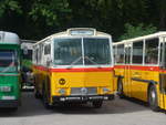 (209'256) - Gast, Wimmis - Saurer/T�scher (ex HP Trans, Thusis; ex Mauerhofer, Worb; ex Erni, Schupfart Nr.