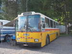 (219'697) - Toldo, Z�rich - ZH 124'701 - Saurer/R&J (ex Peter, Pfaffnau) am 16.
