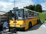 (239'137) - Toldo, Z�rich - ZH 124'701 - Saurer/R&J (ex Peter, Pfaffnau) am 20.
