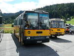 (239'174) - Sch�r, Ettenhausen - TG 175'032 - Saurer/R&J (ex Zimmermann, Kerns; ex Amstein, Willisau) am 20.