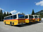 (239'858) - Roth, Z�rich - SH 36'376 - Saurer/T�scher (ex Looser, Elm; ex Mattli, Wassen) am 28.