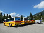 (239'859) - Roth, Z�rich - SH 36'376 - Saurer/T�scher (ex Looser, Elm; ex Mattli, Wassen) am 28.
