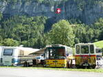 (254'008) - Toldo, Z�rich - ZH 124'701 - Saurer/R&J (ex Peter, Pfaffnau) am 19.