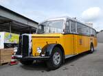 (262'040) - Wegm�ller, Attikon - ZH 9967 - Saurer/Hess (ex 24'531; ex P 1375) am 4.