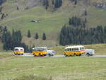 (268'132) - Schmid, Th�rishaus - Nr. 3/BE 26'760 - Saurer/Gangloff (ex Geiger, Adelboden Nr. 3) + Nr. 9/BE 26'105 - Saurer/R&J (ex Geiger, Adelboden Nr. 9) + aus Deutschland: Hahn, M�nchen - Nr. 6/M-MB 309H - Mercedes (ex M�ller, CH-Ennetmoos Nr. 6; ex Portenier, CH-Adelboden Nr. 6/PID 492; ex Geiger, CH-Adelboden Nr. 6) am 12. Oktober 2024 bei der Bundalp