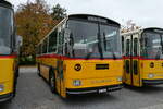 (281'412) - Gaudenz, Andeer - GR 1866 - Saurer/R&J (ex Mark, Andeer PID 2824; ex PostAuto Graub�nden; ex P 24'350) am 12.