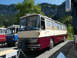(253'951) - Z�ger, Beggingen - SH 27'151 - Setra (ex Br�ngger, Elsau) am 19.