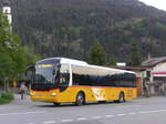 (180'464) - PostAuto Graub�nden - GR 162'991 - MAN am 23.