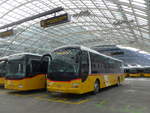 (187'546) - PostAuto Graub�nden - GR 162'987 - MAN am 1.