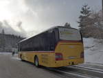 (200'560) - PostAuto Graub�nden - GR 162'981 - MAN am 2.