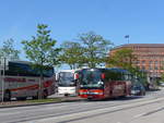 (204'890) - Sp�rlein, Burgebrach - BA-MS 788 - Setra am 11.
