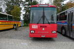 (281'441) - Party-Bus, Grosswangen - LU 117'116 - Saurer/R&J (ex Wohlgemuth, Hochwald) am 12. Oktober 2025 in Hitzkirch, Interkantonale Polizeischule