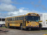(212'474) - Transportes Tilar�n, Tilar�n - (2270) - Bluebird am 26.
