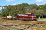 Die neue DSB Museumslok MY 1135 rangiert die sonst im Pattburger G�terschuppen hinterstellten DSB G�terwagen, Pattburg 9.10.2022
