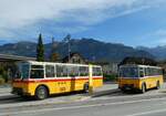 (256'479) - Lambach, Gommiswald - NW 24'301 - FBW/Eggli (ex Tanner+Lambach, Reigoldswil; ex Lambach, Rieden; ex Meier, Gr�t; ex AVG Grindelwald Nr.