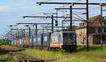 Hectorrail 241.002 Pattburg/DK 16.08.2016