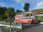 (211'713) - Ulrich, Nuevo Arenal - FBW/Vetter-R&J Anderthalbdecker (ex Wespe, CH-Altst�tten; ex AFA Adelboden/CH Nr.