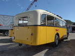 (205'811) - Baumgartner, Horn - SG 329'300 - Saurer/T�scher (ex Bucheli, Kriens Nr.