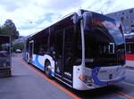 (277'914) - BOGG Wangen b.O.