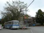 (228'411) - Borer, Neuhausen - SH 19'684 - Saurer/T�scher (ex Sch�ttler, D-K�ln; ex Braun, D-M�nster; ex Schmid, Hemmishofen; ex Br�tsch, B�ttenhard; ex ASS Schleitheim Nr.