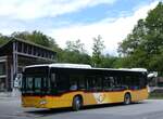(263'225) - Fl�ck, Brienz - Nr.