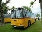 (235'800) - Gautschi, Suhr -  P 25'822  - Saurer/T�scher (ex L�tscher, Neuheim Nr.