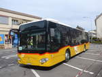 (224'823) - H�fliger, Sursee - Nr.