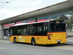 (239'511) - H�fliger, Sursee - Nr.