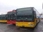 (223'977) - PostAuto Graub�nden - (GR 102'356) - Mercedes am 7.