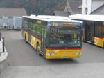 (222'431) - PostAuto Ostschweiz - SG 356'506 - Mercedes (ex Schmidt, Oberb�ren) am 22.