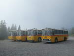 (239'777) - Roth, Z�rich - SH 36'376 - Saurer/T�scher (ex Looser, Elm; ex Mattli, Wassen) am 28.