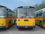 (239'790) - Schmid, Th�rishaus - BE 26'206 - Saurer/T�scher (ex P 24'244) am 28.