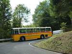 (239'838) - Schmid, Th�rishaus - BE 26'206 - Saurer/T�scher (ex P 24'244) am 28.