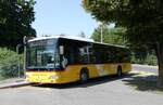 (278'822) - Schumacher, Metzerlen - Nr.
