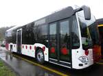 (273'389) - TPF Fribourg - (620'980) - Mercedes am 29.