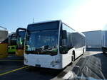 (229'831) - TSPG Saignel�gier - PID 11'766 - Mercedes am 24.