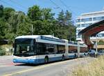 (251'461) - VBZ Z�rich - Nr.