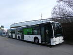 (272'703) - Wieland, Murten - Nr.