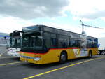 (236'484) - K�bli, Gstaad - Nr.