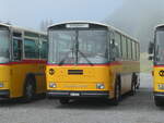 (239'784) - Schmid, Th�rishaus - BE 26'206 - Saurer/T�scher (ex P 24'244) am 28.
