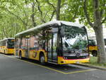 (276'721) - PostAuto Wallis - VS 581'434/PID 12'162 - eMercedes am 14.