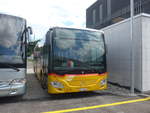 (218'250) - Schnider, Sch�pfheim - LU 15'608 - Mercedes (ex LU 15'754) am 28.