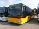 (222'032) - Fl�ck, Brienz - PID 11'527 - Mercedes am 18.