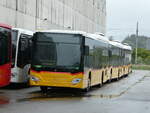 (253'512) - Buchard, Leytron - (617'943) - Mercedes am 6.