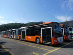 (265'034) - Aus Frankreich: Gem'Bus, St-Julien-en-Genevois - Nr.