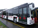 (273'390) - TPF Fribourg - (620'981) - Mercedes am 29.