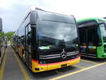 (274'610) - AutoPostale Ticino - PID 12'118 - eMercedes am 3.