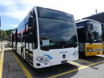 (276'129) - Schneider, Ermenswil - (621'426) - Mercedes am 31.